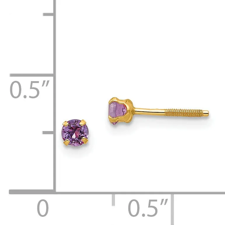 14k Yellow Gold Amethyst Birthstone Earrings