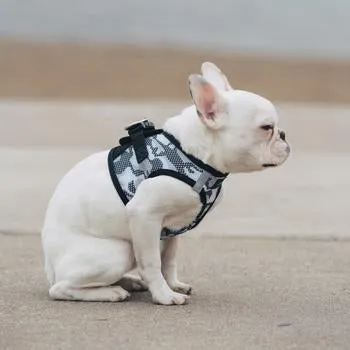American RiverChoke Free Dog Harness Camouflage Collection - Gray Camo