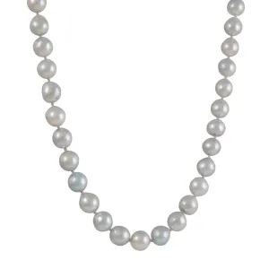 CP Collection - Akoya Pearls Necklace