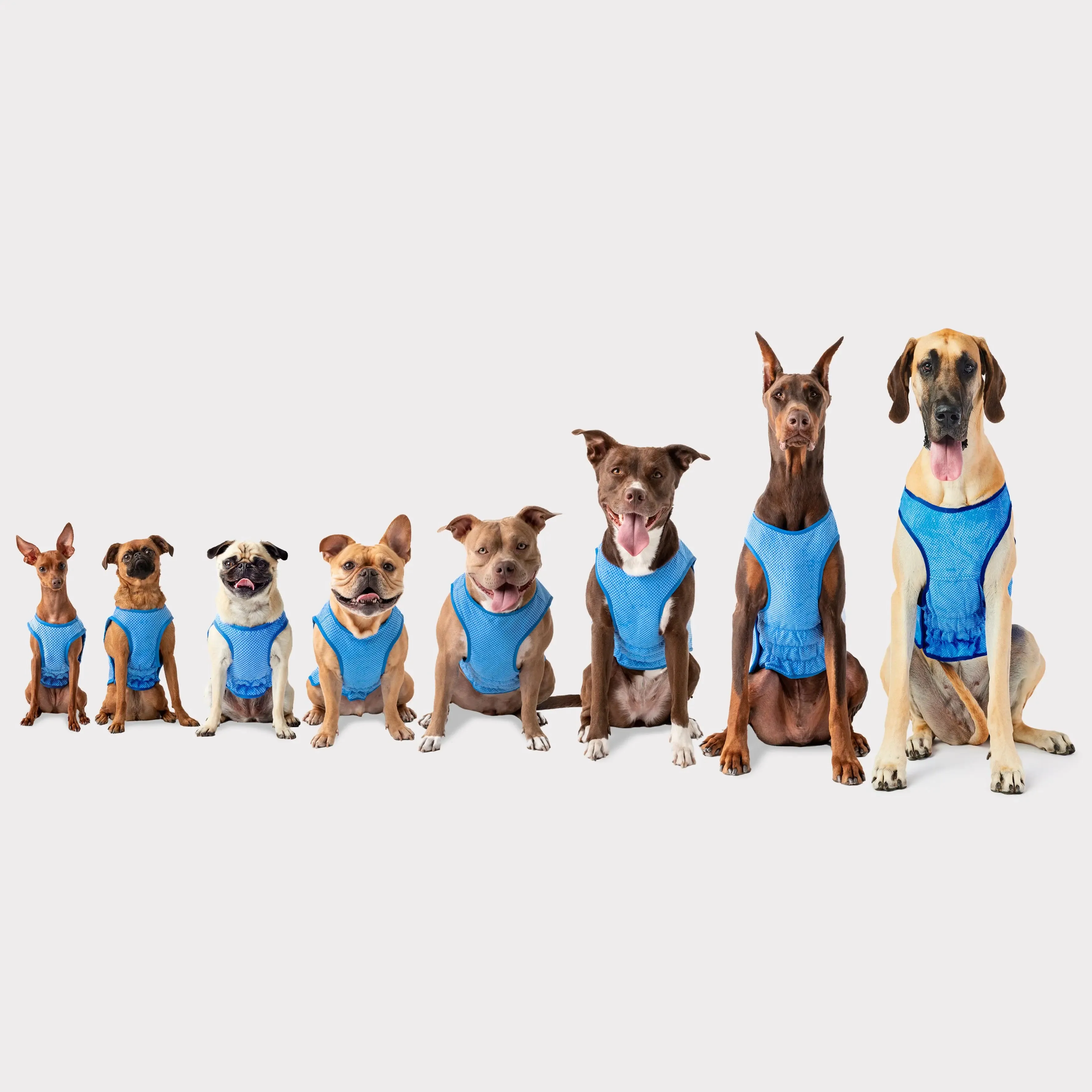 Elasto-Fit® Ice Vest® | Dog Cooling Vest | Blue