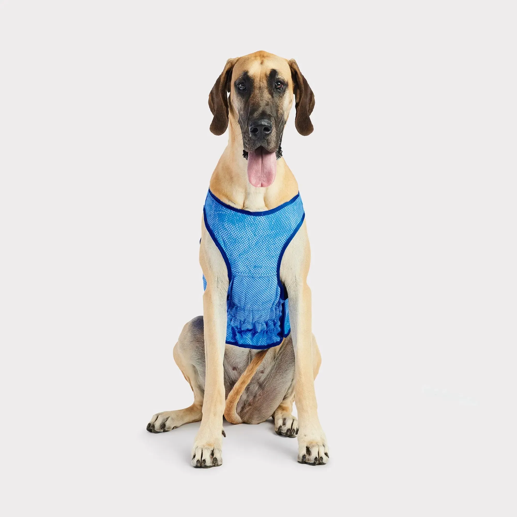Elasto-Fit® Ice Vest® | Dog Cooling Vest | Blue