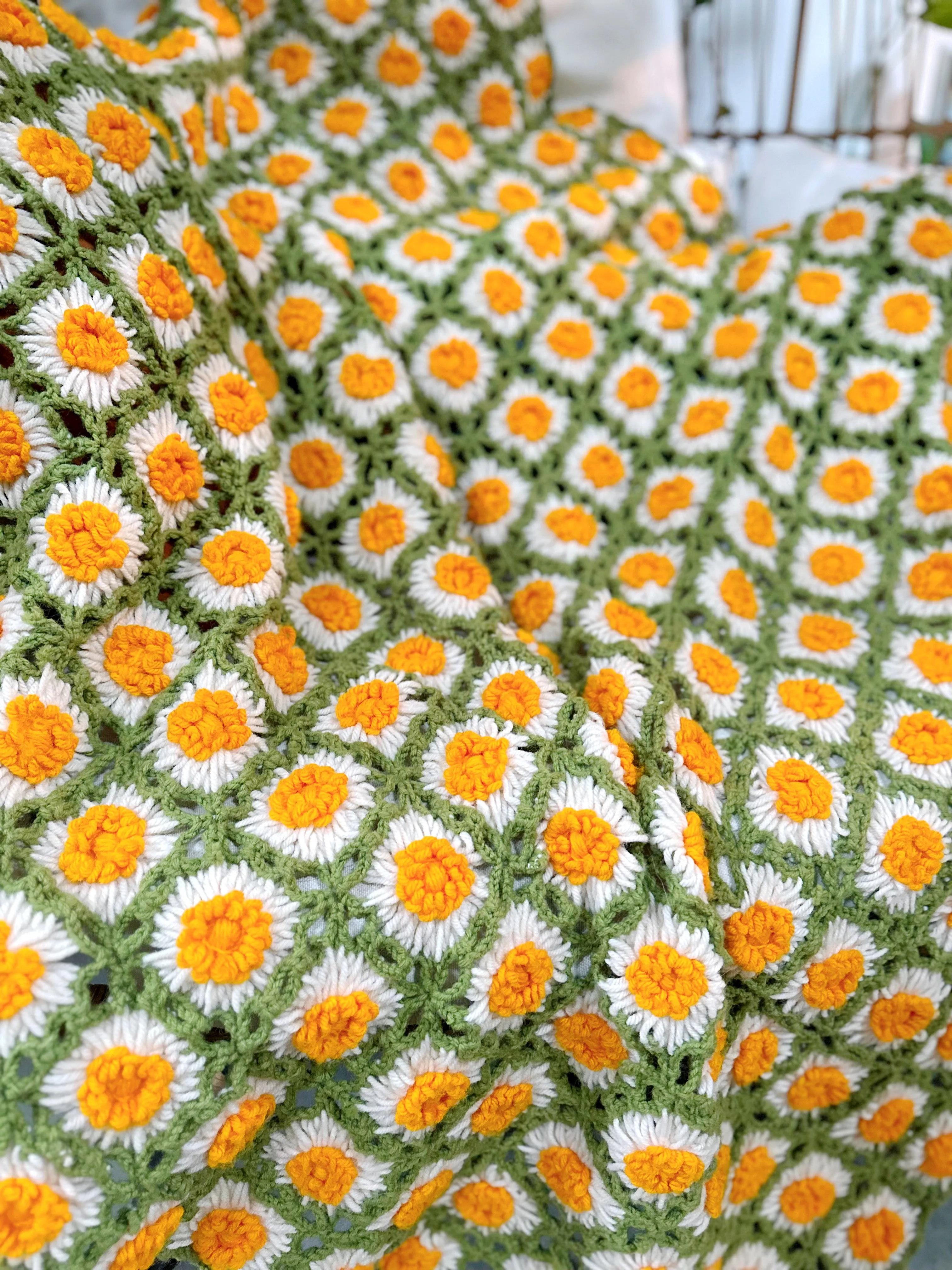 Fern
