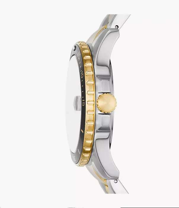 Fossil Blue Dive Three-Hand Date Two-Tone Stainless Steel Watch FS6031