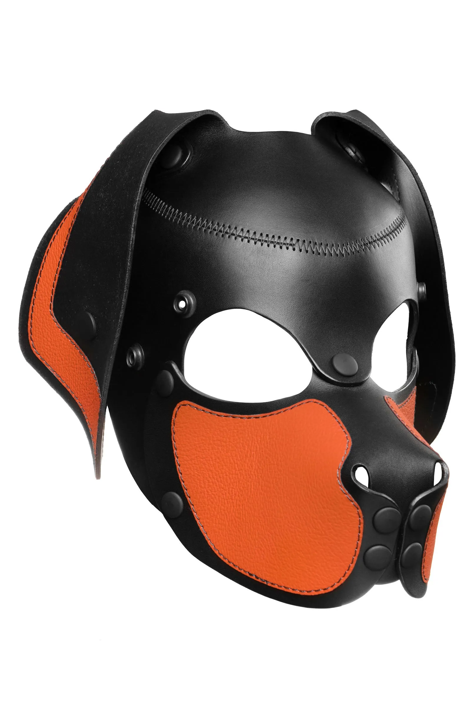 HEAD HARNESS PUP "RANGER" - Colour