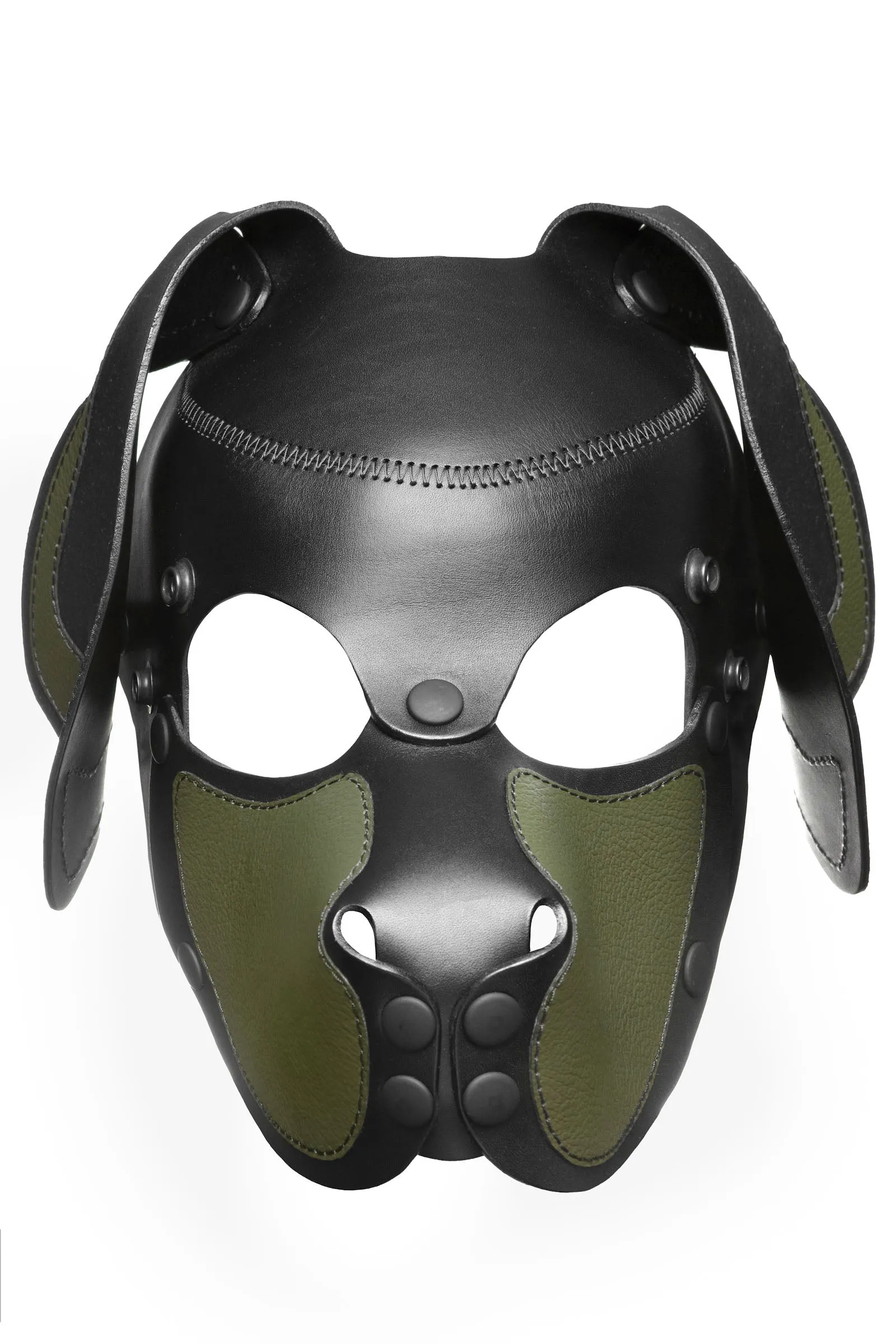 HEAD HARNESS PUP "RANGER" - Colour