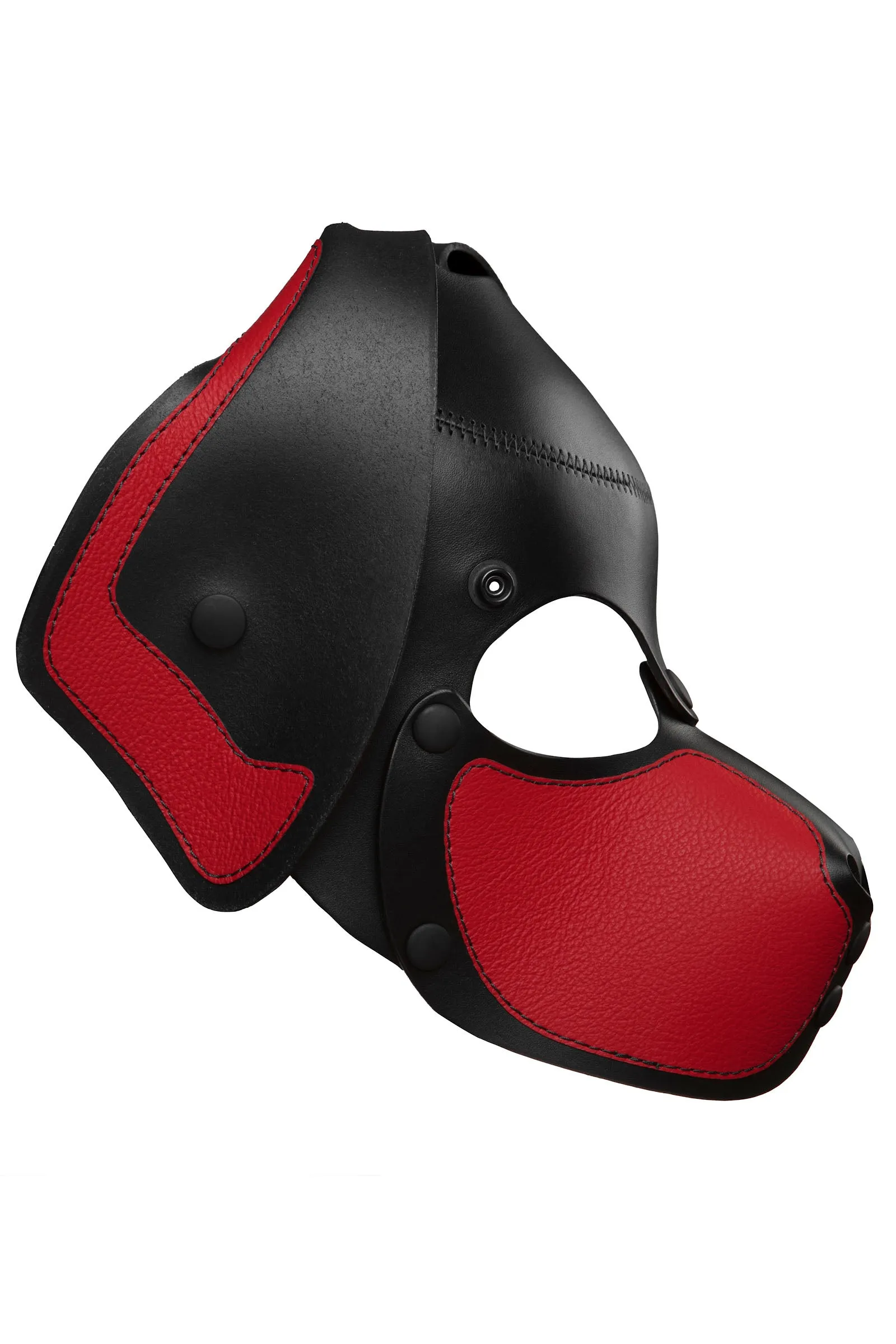 HEAD HARNESS PUP "RANGER" - Colour