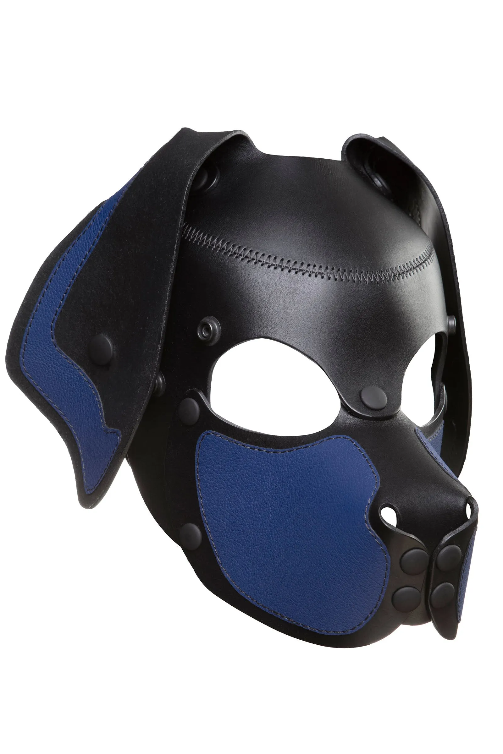 HEAD HARNESS PUP "RANGER" - Colour