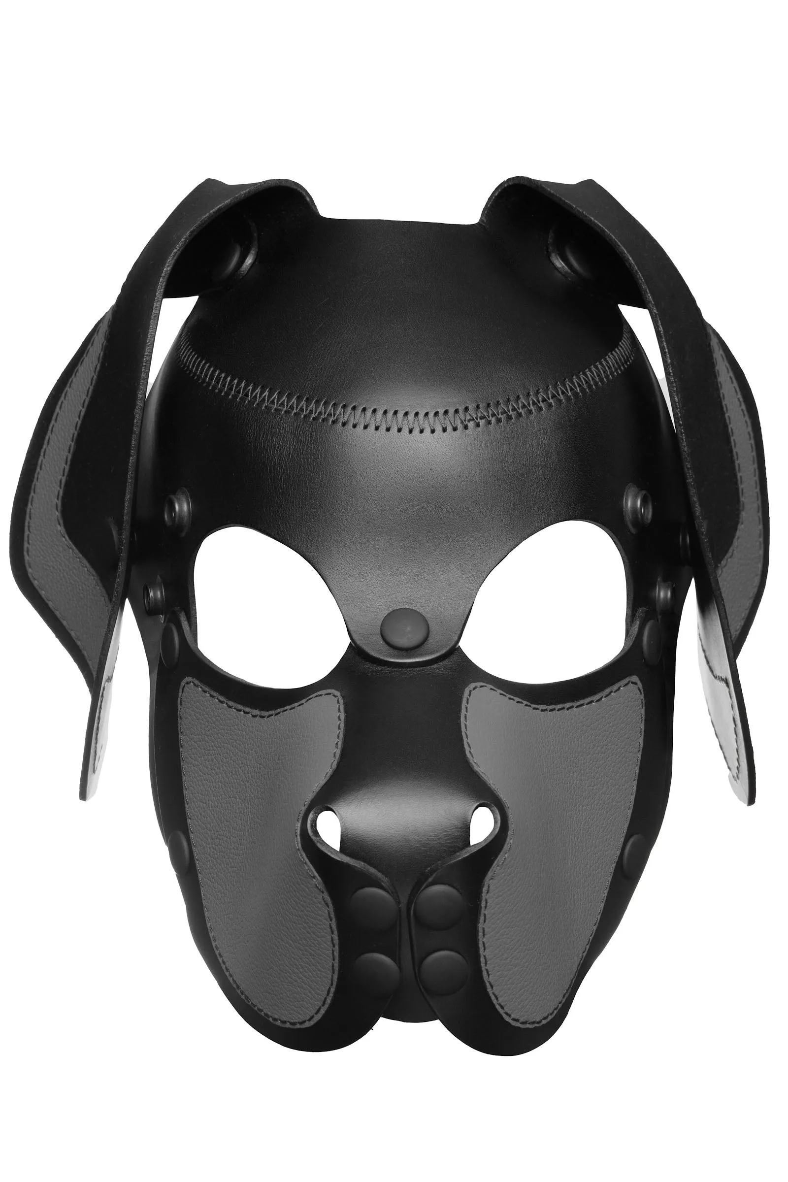 HEAD HARNESS PUP "RANGER" - Colour
