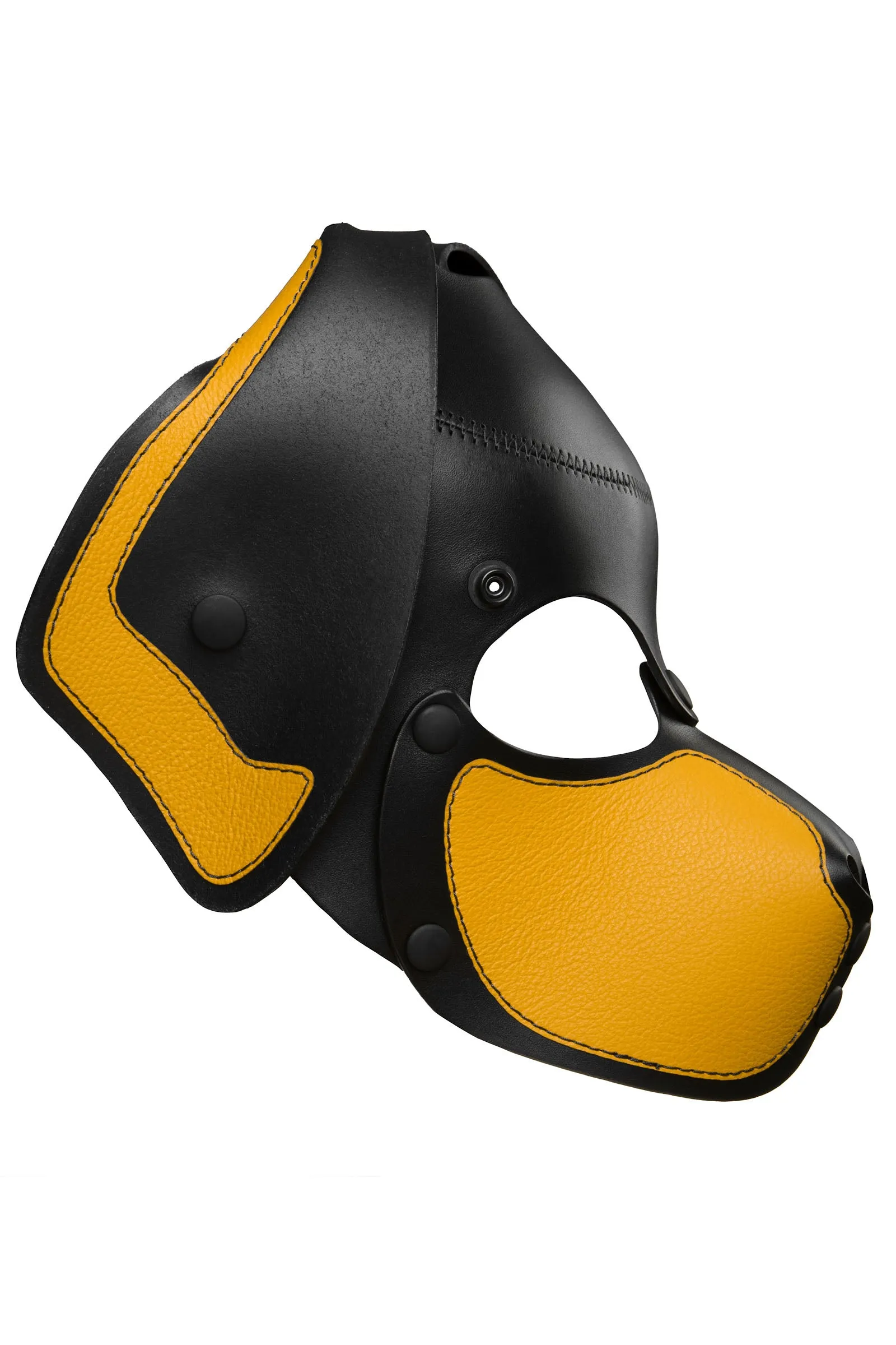 HEAD HARNESS PUP "RANGER" - Colour