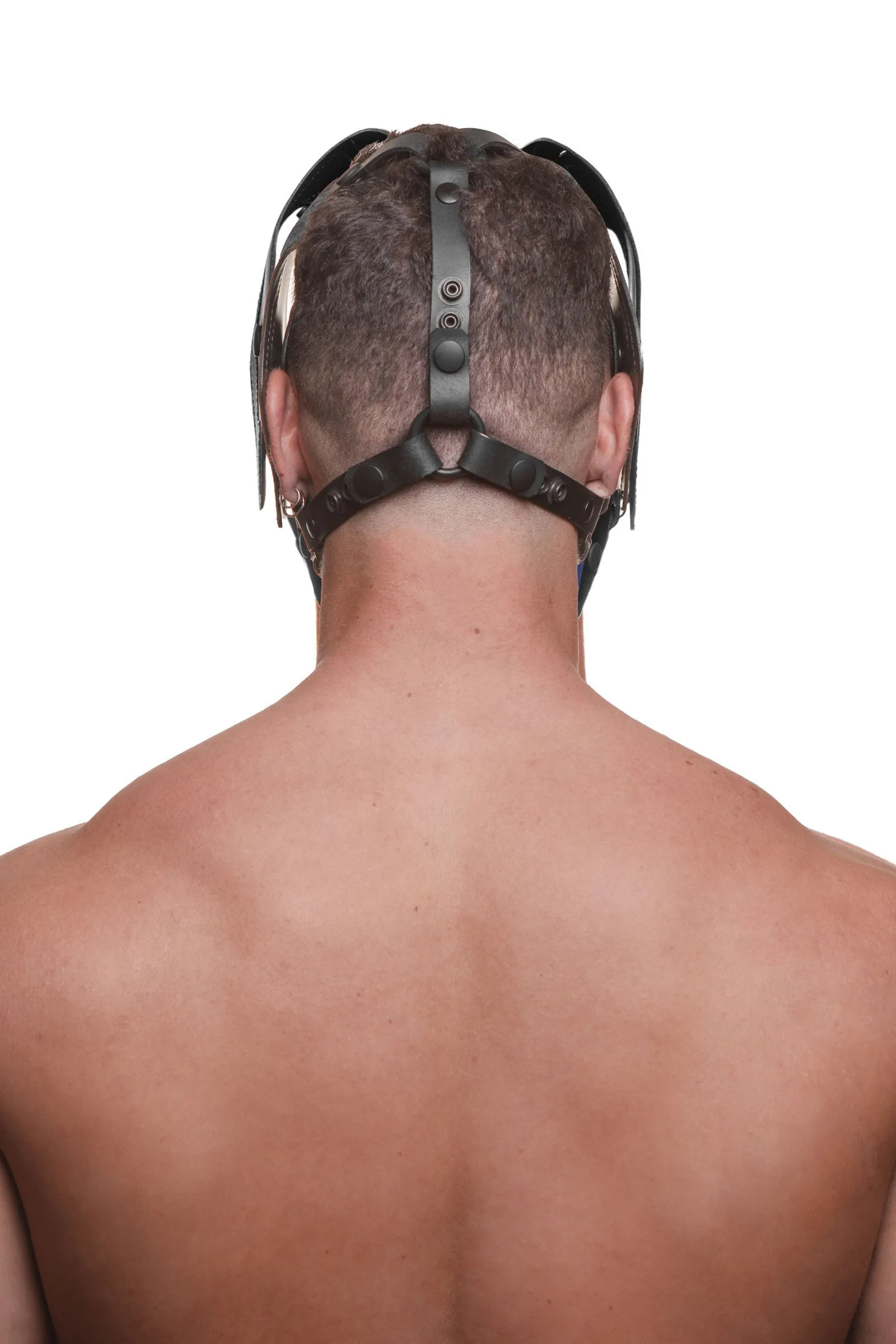 HEAD HARNESS PUP "RANGER" - Colour