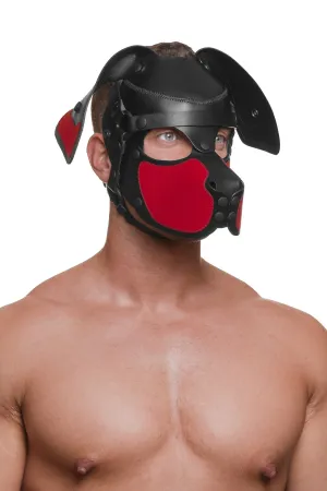 HEAD HARNESS PUP "RANGER" - Colour