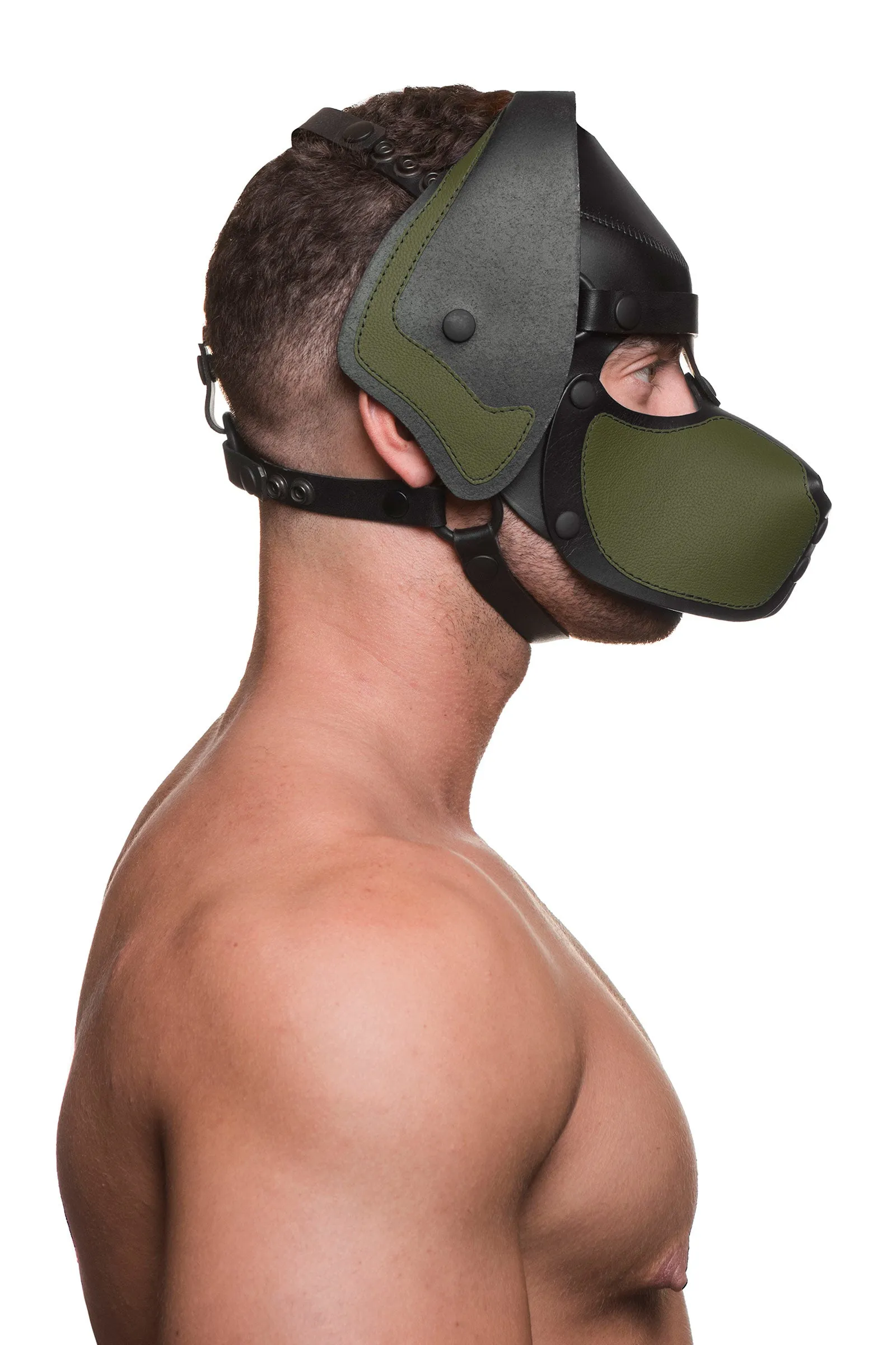 HEAD HARNESS PUP "RANGER" - Colour