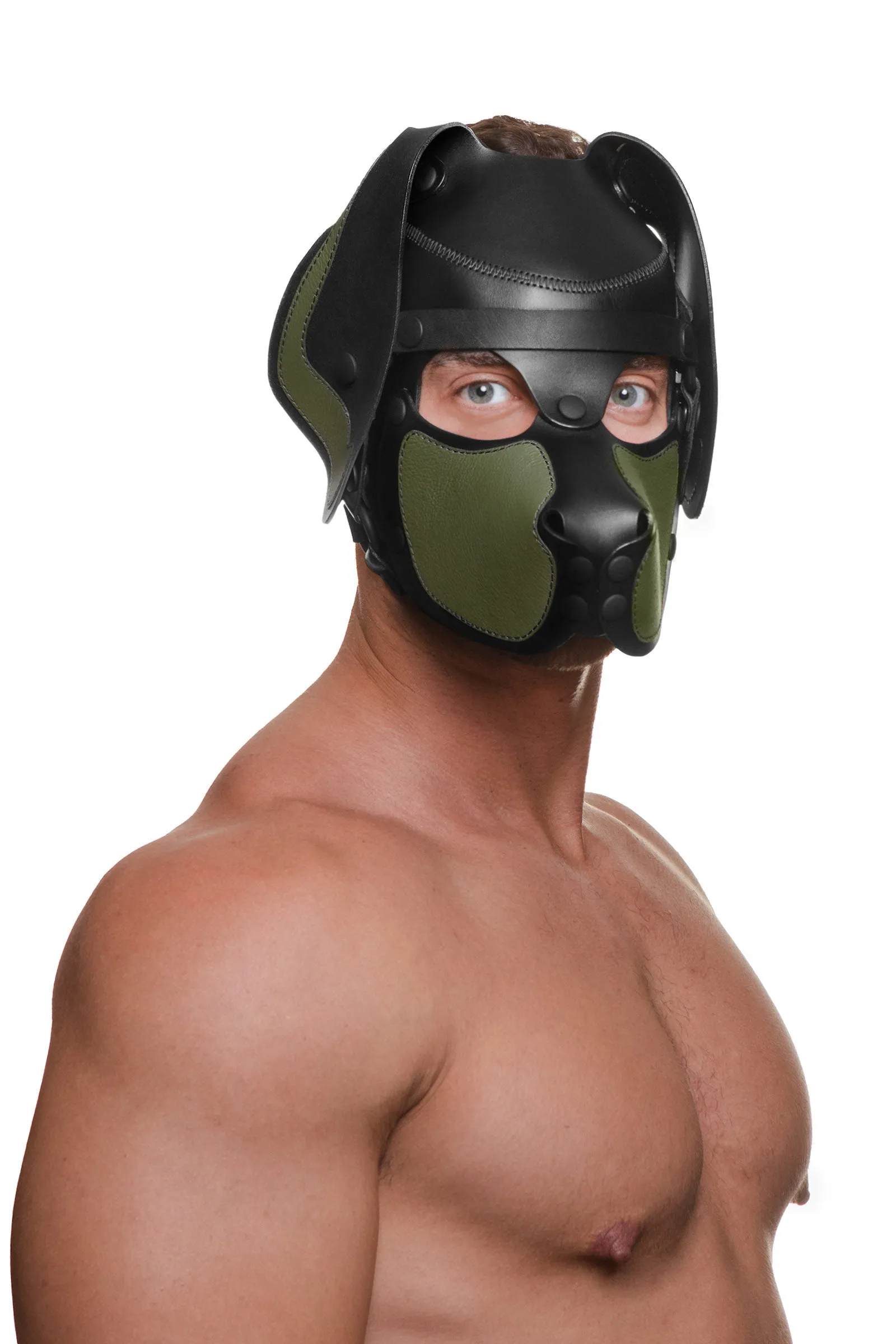 HEAD HARNESS PUP "RANGER" - Colour