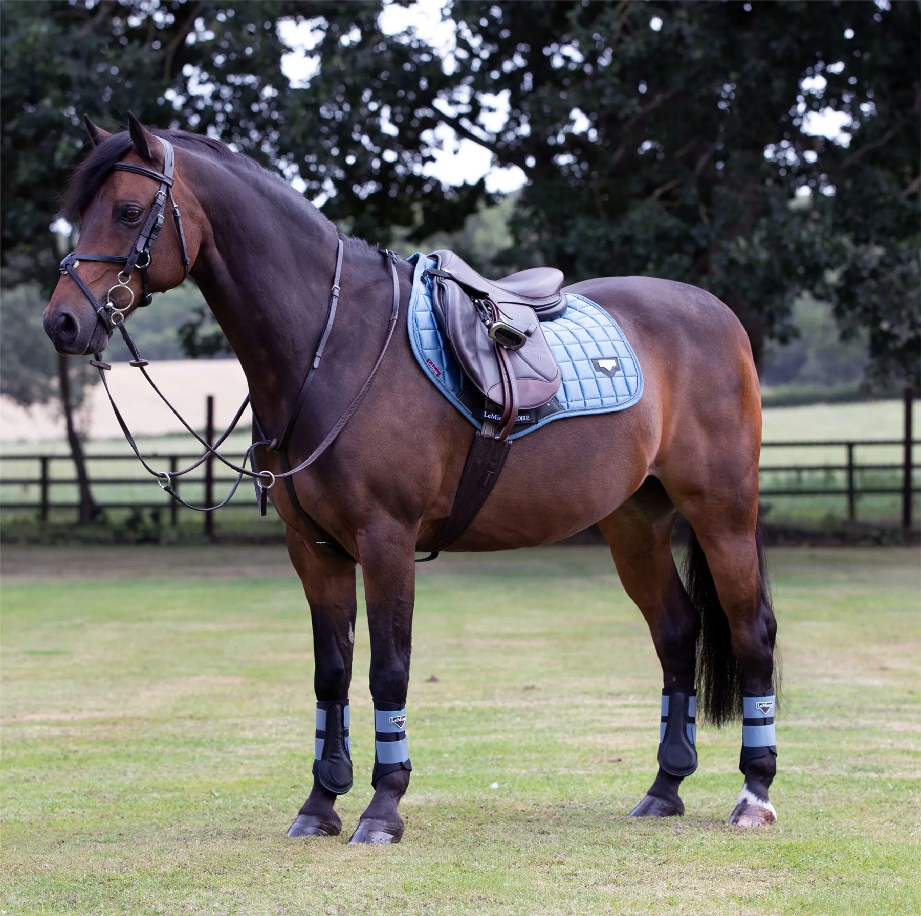 LeMieux Loire Classic Close Contact Square