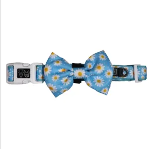 "Lazy Daisy" Collar & Bowtie