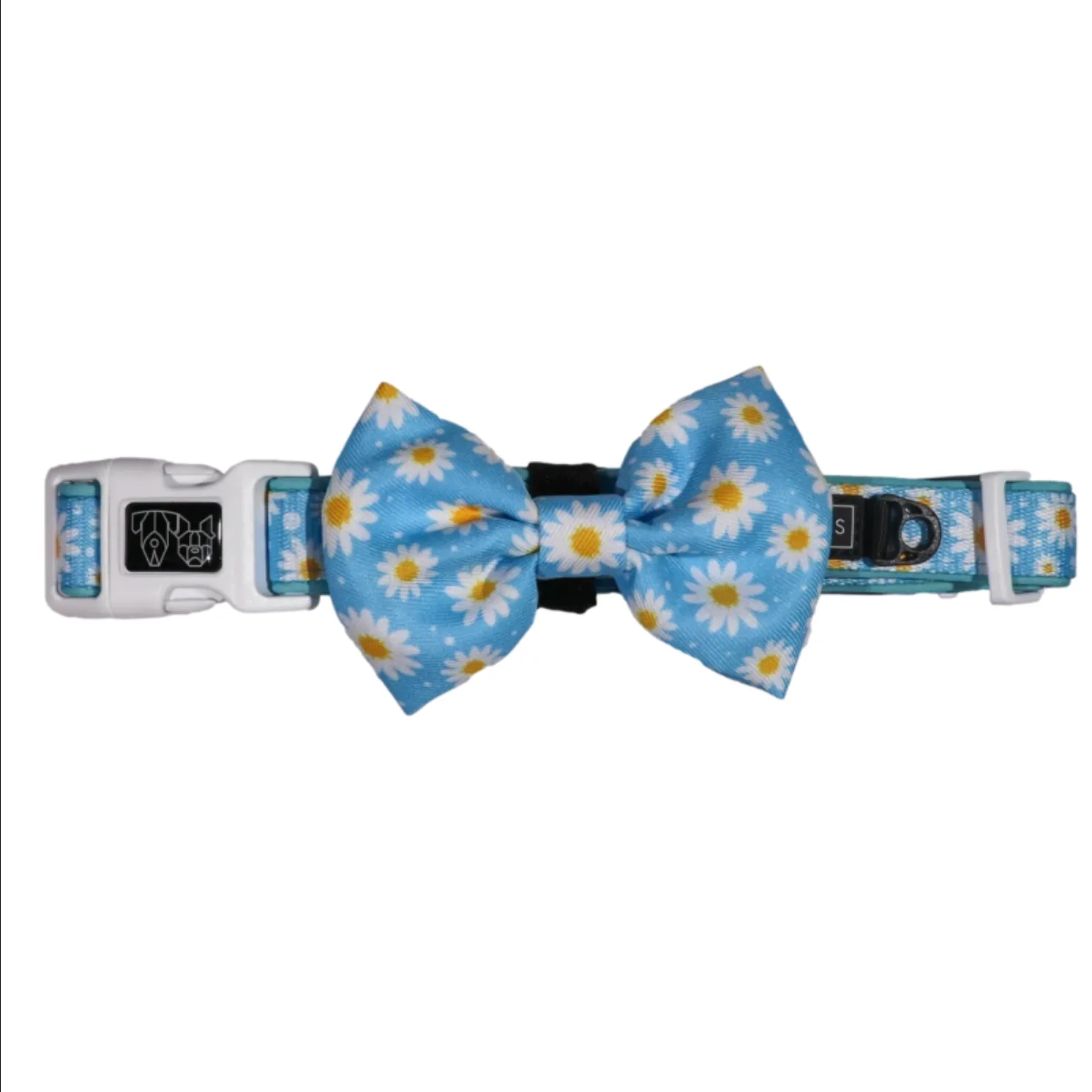 "Lazy Daisy" Collar & Bowtie