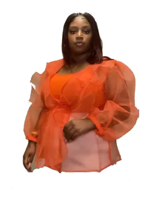 Sheer Balloon Sleeve Top