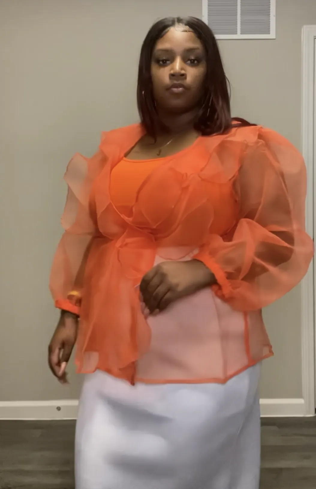 Sheer Balloon Sleeve Top