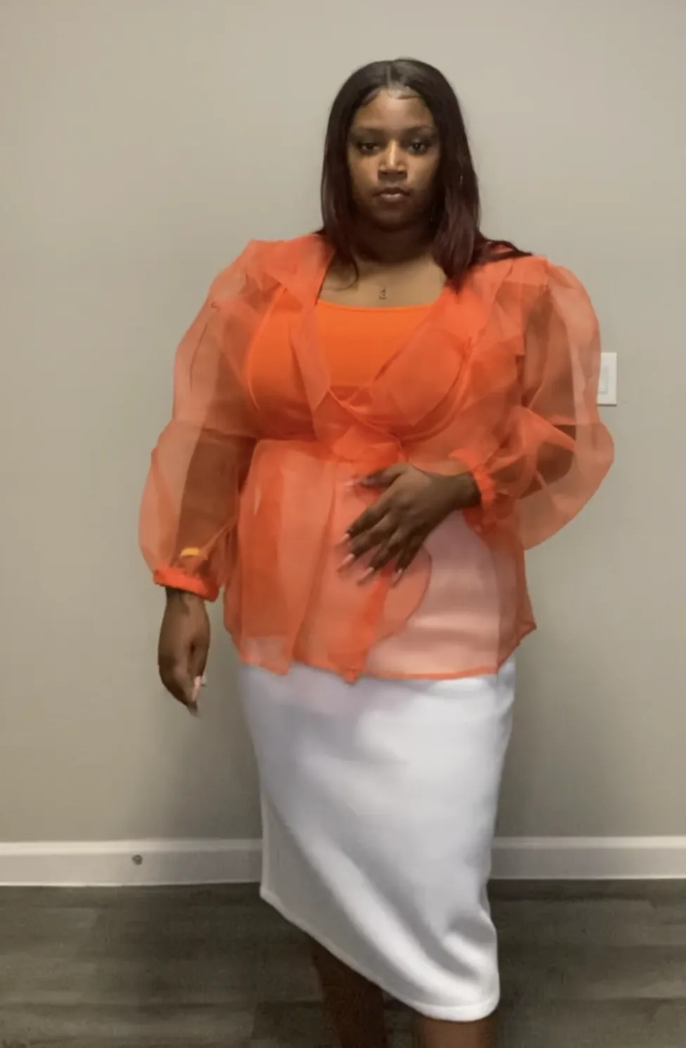 Sheer Balloon Sleeve Top