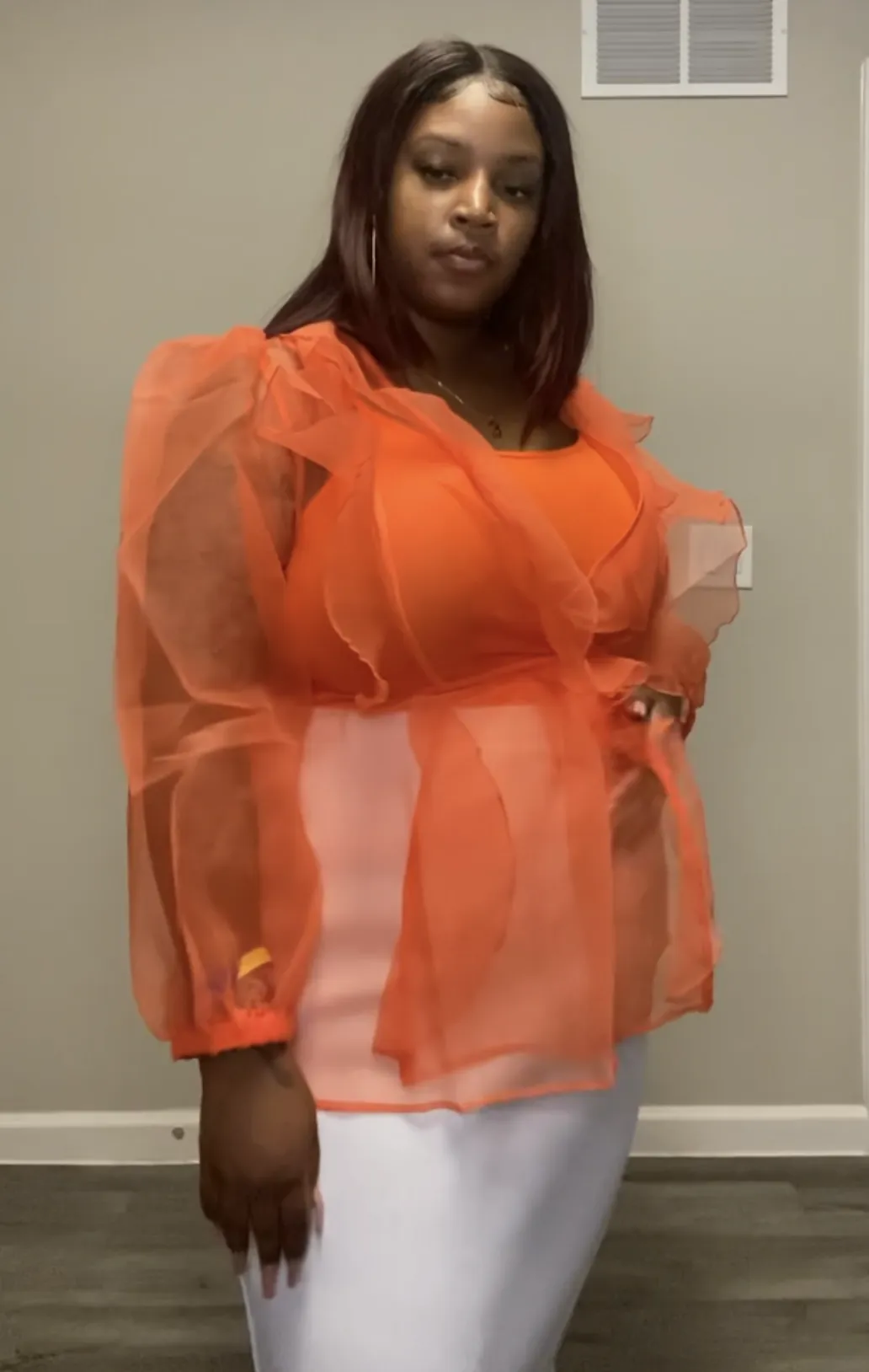 Sheer Balloon Sleeve Top