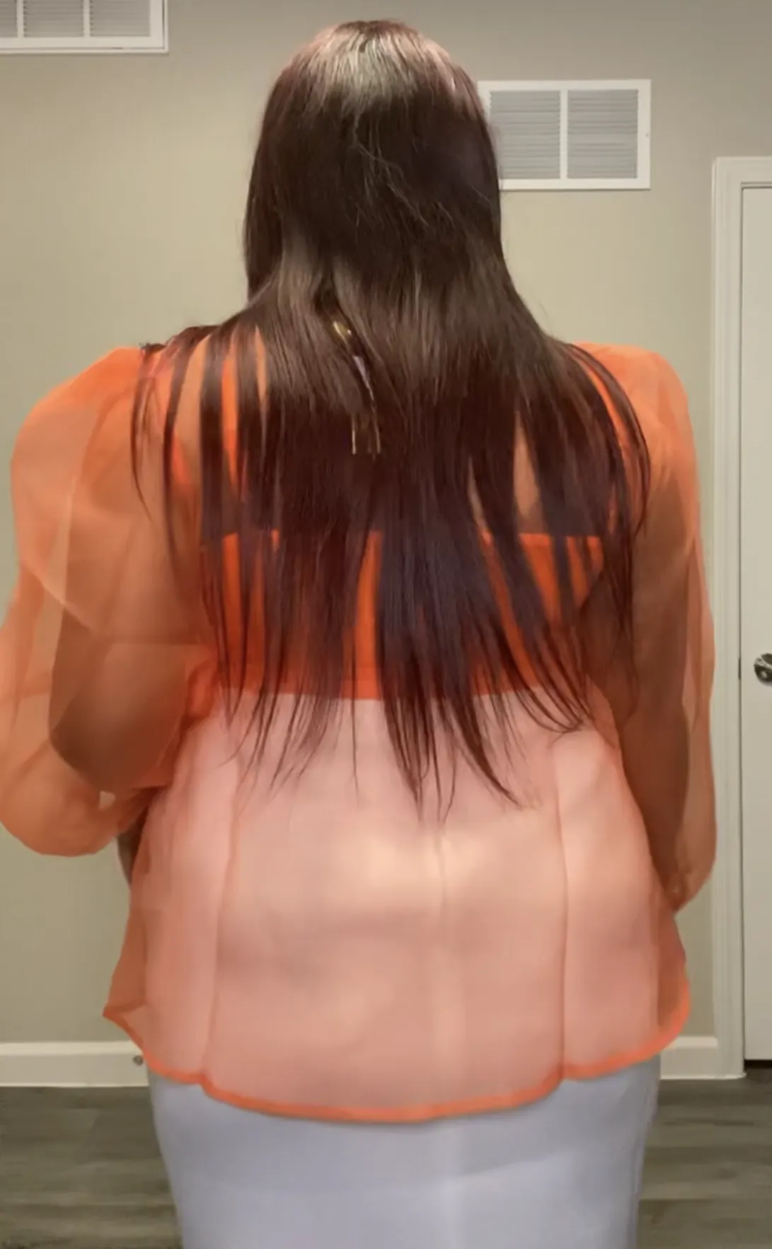 Sheer Balloon Sleeve Top