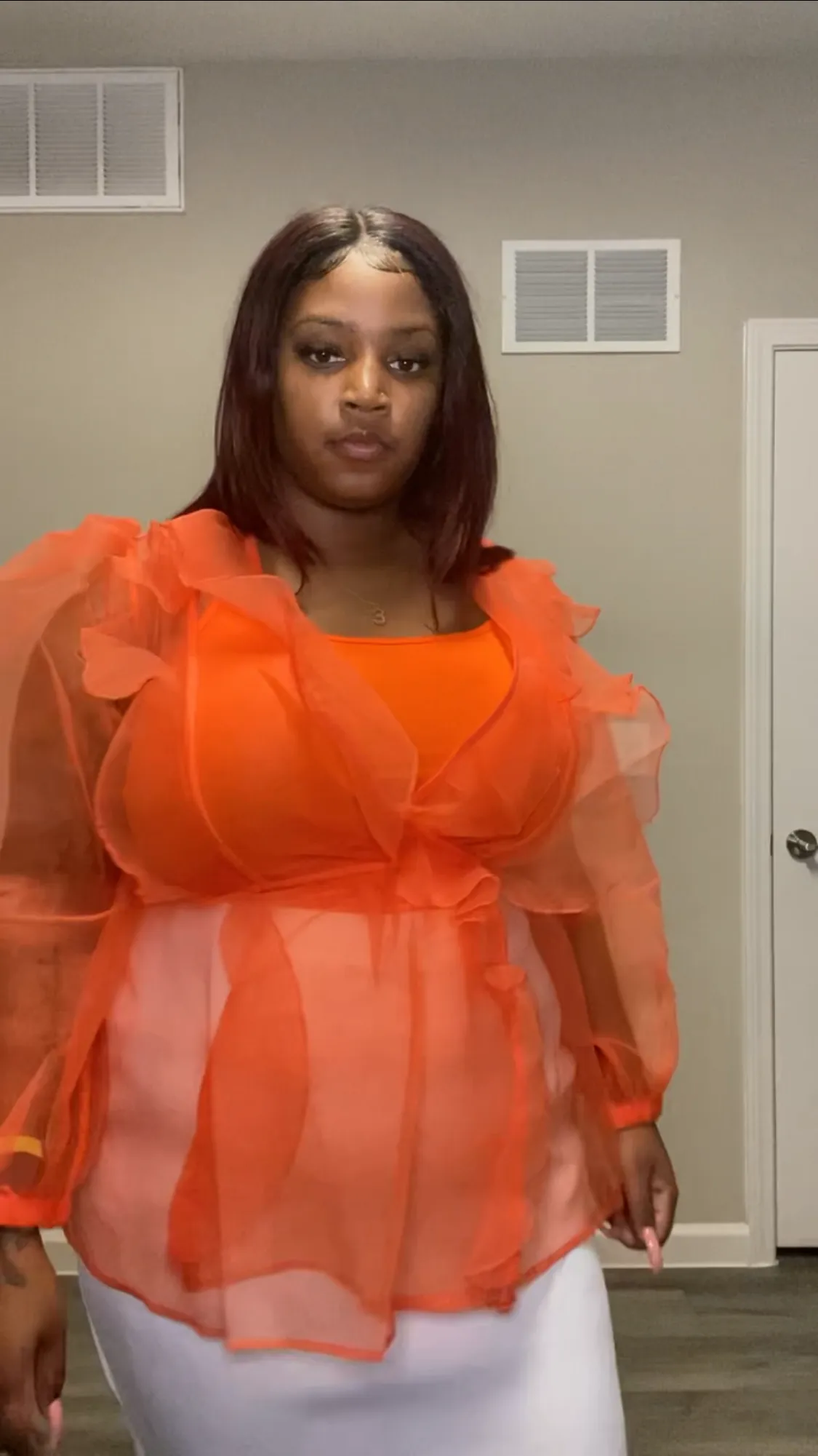 Sheer Balloon Sleeve Top