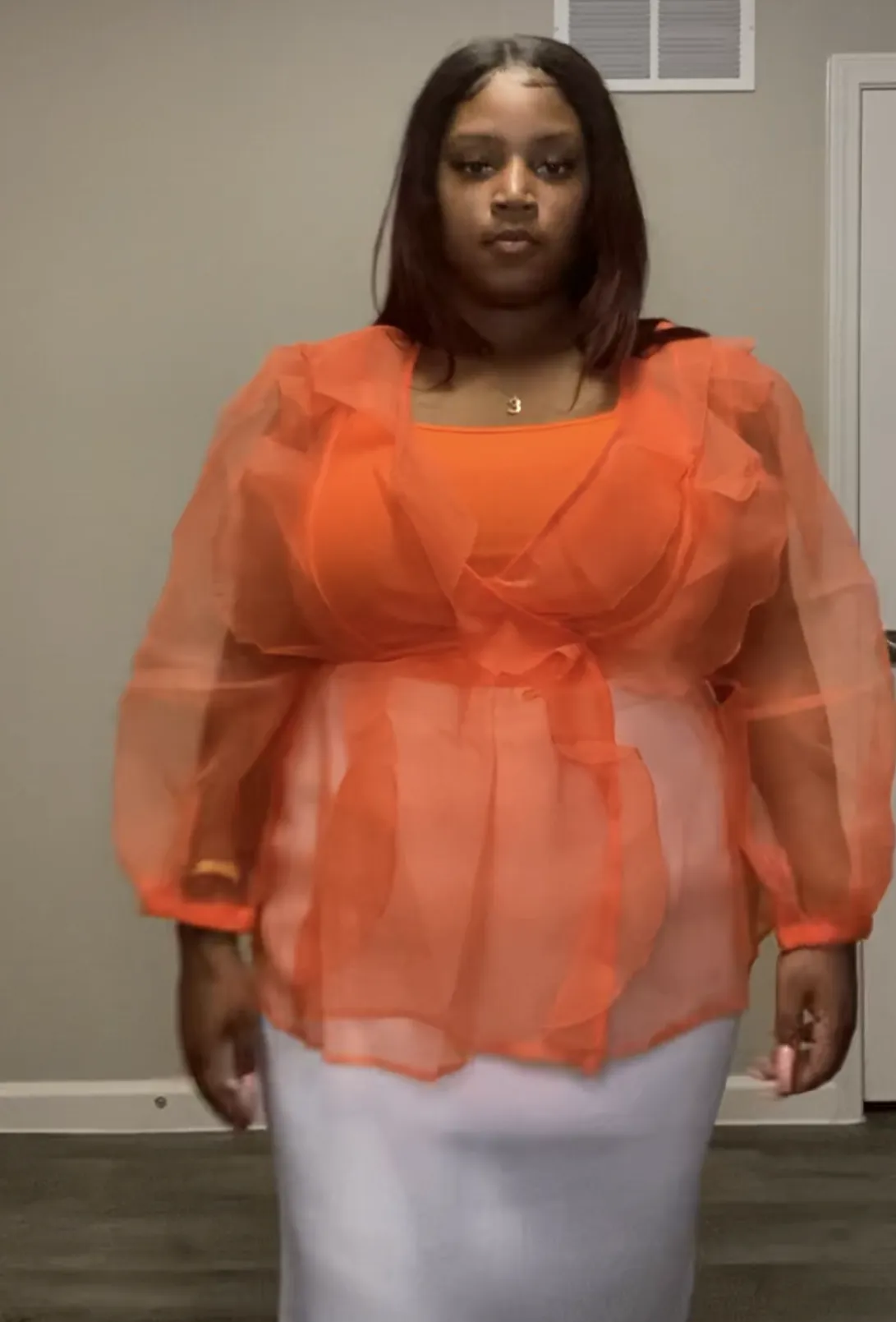 Sheer Balloon Sleeve Top