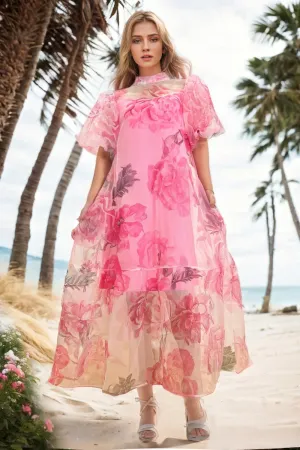 Sheer Maxi Dress