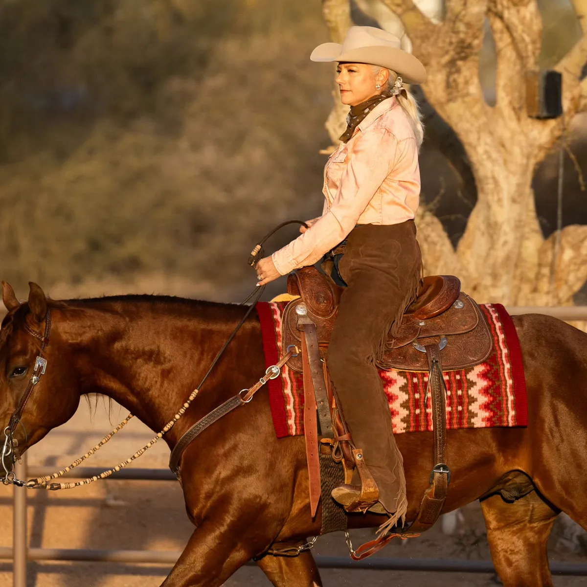 Split Leather Classic Show Chaps