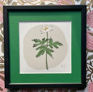 WOOD ANEMONE - FRAMED GICLEE PRINT